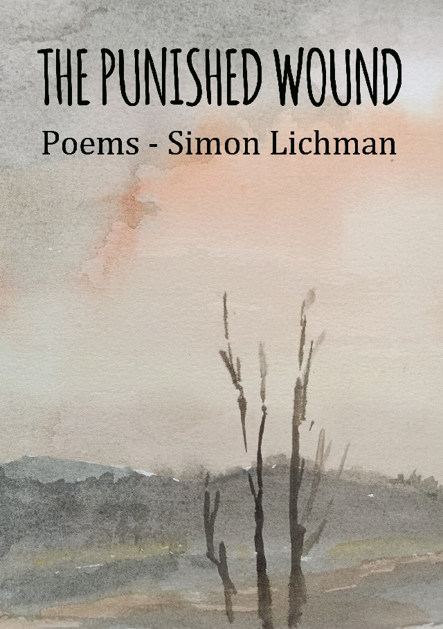 Front cover of "The Punished Wound"